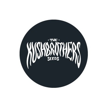 Sementes Feminizadas Kush Brothers Seeds