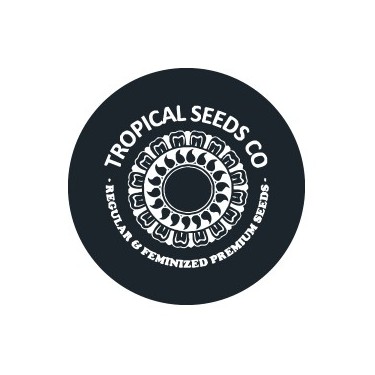 Sementes Feminizadas Tropical Seeds