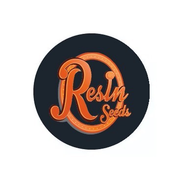 Sementes feminizadas Resin Seeds