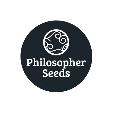 Sementes regulares Philosopher Seeds