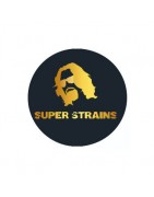Sementes autoflorescentes Super Strains