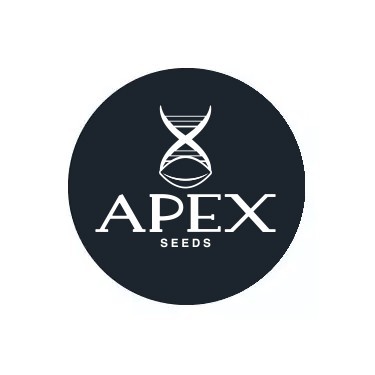 Sementes Feminizadas Apex Seeds