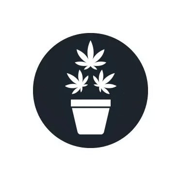 Fertilizantes de crescimento