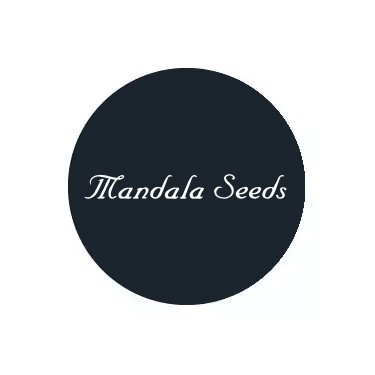 Mandala Seeds