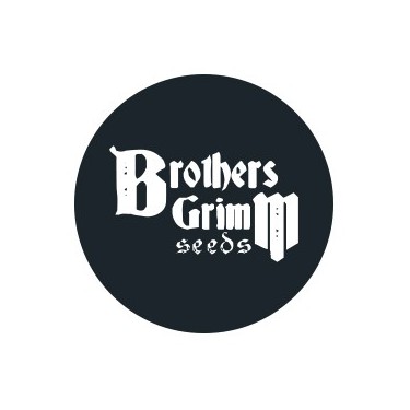 Sementes regulares Brothers Grimm Seeds