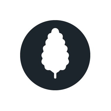 Sementes de Cannabis Produtivas