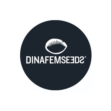 Female Seeds Dinafem Seeds