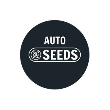 Sementes Auto a Granel