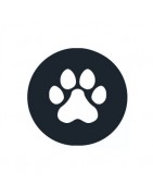 CBD para Animais