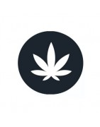 Óleo CBD Full Spectrum