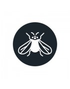 Insecticida para mosca-branca