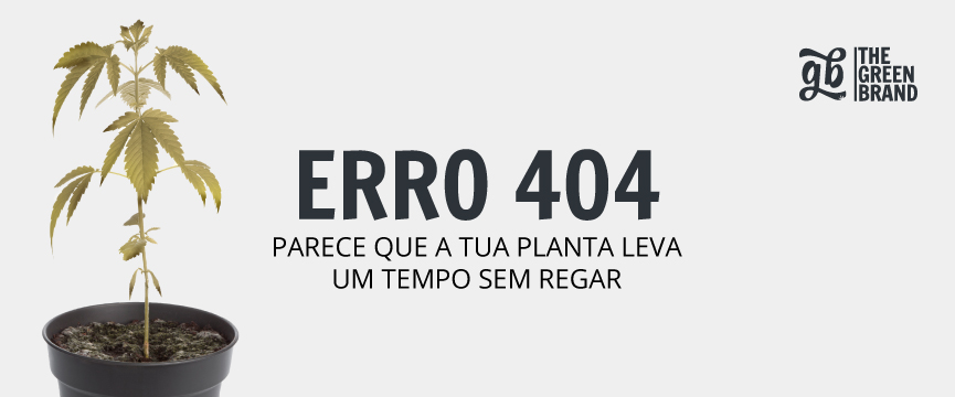 404 Desktop
