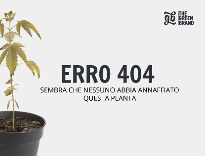 404 Mobile
