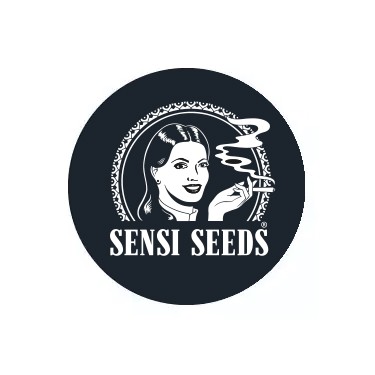Sementes Autoflorescentes  Sensi Seeds
