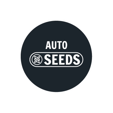 Sementes Auto a Granel