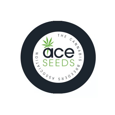 Sementes Feminizadas ACE Seeds