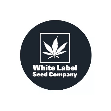 White Label sementes feminizadas