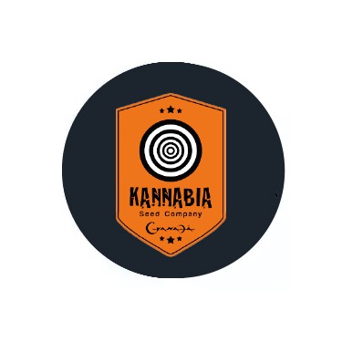 Sementes autoflorescentes Kannabia Seeds