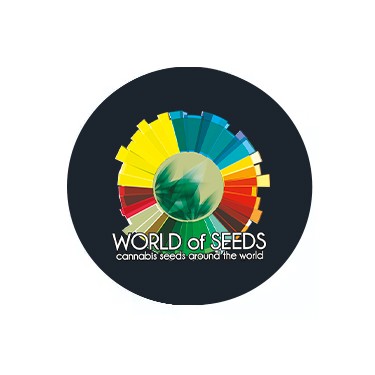 Sementes feminizadas World Of Seeds