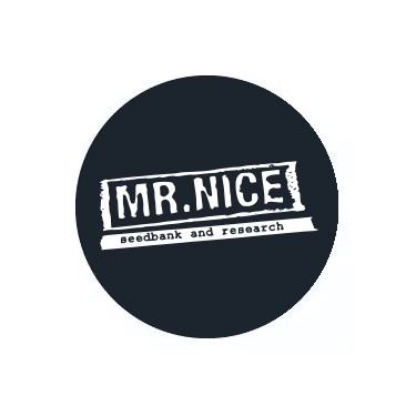 Sementes regulares Mr. Nice Seedbank