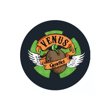 Sementes feminizadas Venus Genetics