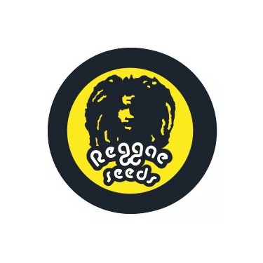 Female Seeds Reggae Seeds