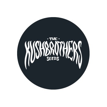 Sementes Feminizadas Kush Brothers Seeds