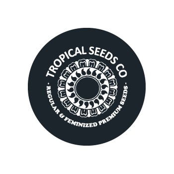 Sementes Feminizadas Tropical Seeds
