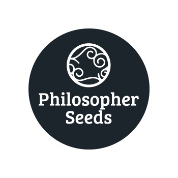 Sementes regulares Philosopher Seeds