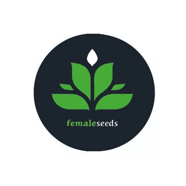 Female Seeds sementes feminizadas