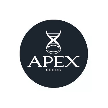 Sementes Feminizadas Apex Seeds