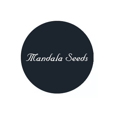 Mandala Seeds