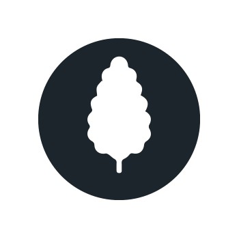 Sementes de Cannabis Produtivas
