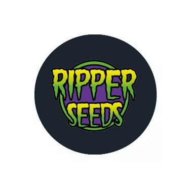 Sementes autoflorescentes Ripper Seeds