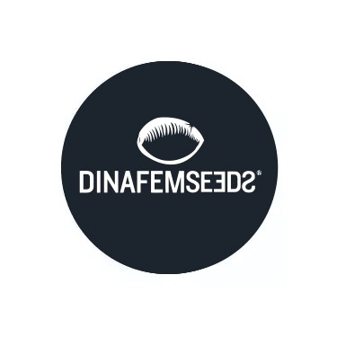 Female Seeds Dinafem Seeds