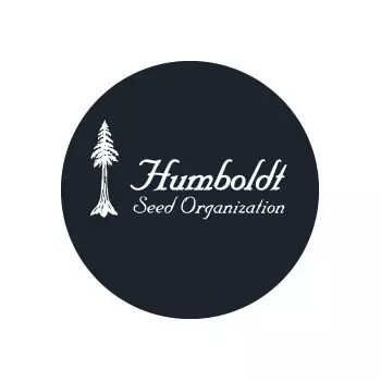 Sementes Regulares Humboldt Seed Organization