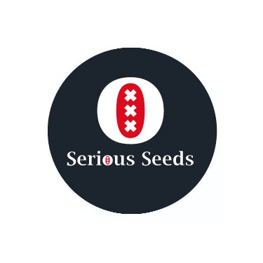Sementes Feminizadas Serious Seeds