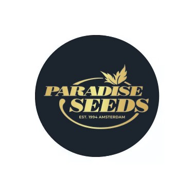 Paradise Seeds Sementes Feminizadas