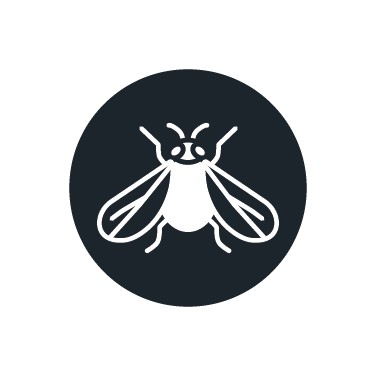 Insecticida para mosca-branca